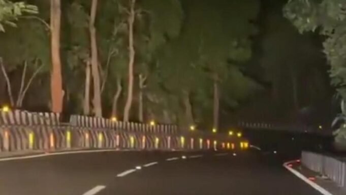 Εντοπίστηκε γιγάντιος πύθωνας στον δρόμο Tirumala ghat | presscode.gr Εντοπίστηκε γιγάντιος πύθωνας στον δρόμο Tirumala ghat
| presscode.gr