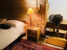 Η μινιατούρα άλογο μπορεί να είναι συγκάτοικος σε μια ασυνήθιστη εμπειρία Airbnb
| presscode.gr Η μινιατούρα άλογο μπορεί να είναι συγκάτοικος σε μια ασυνήθιστη εμπειρία Airbnb
| presscode.gr