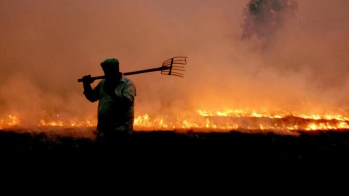 Google Preferred Source