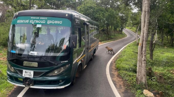 Google Preferred Source