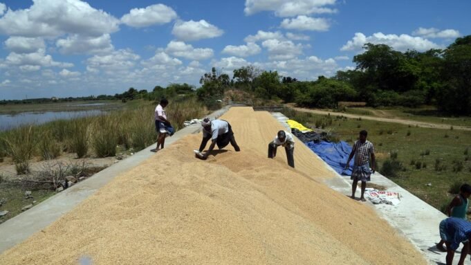 Κάλεσμα Ντινακάν και Ανμπουμάνι για διερεύνηση αξιώσεων για παρατυπίες στη Google Preferred Source