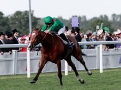 Ο Καλάνταγκαν στέφθηκε ως άλογο Cartier της χρονιάς
| presscode.gr Ο Καλάνταγκαν στέφθηκε ως άλογο Cartier της χρονιάς
| presscode.gr