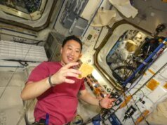 Ένας αστροναύτης της NASA πρόκειται να απολαύσει μια βόλτα 17.500 mph στο σπίτι. Πώς να παρακολουθήσετε
| presscode.gr Ένας αστροναύτης της NASA πρόκειται να απολαύσει μια βόλτα 17.500 mph στο σπίτι. Πώς να παρακολουθήσετε
| presscode.gr