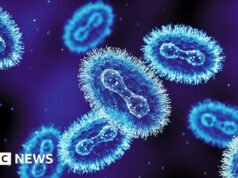 Εντοπίστηκε νέο στέλεχος mpox στην Αγγλία
| presscode.gr Εντοπίστηκε νέο στέλεχος mpox στην Αγγλία
| presscode.gr