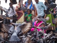 Η απαγόρευση ταΐσματος των περιστεριών αναστατώνει πολλά φτερά στη Βομβάη
| presscode.gr Η απαγόρευση ταΐσματος των περιστεριών αναστατώνει πολλά φτερά στη Βομβάη
| presscode.gr