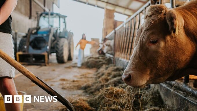 Οι Lib Dems ζητούν ισοδύναμο γεωργίας του προγράμματος Teach First Οι Lib Dems ζητούν ισοδύναμο γεωργίας του προγράμματος Teach First
| presscode.gr